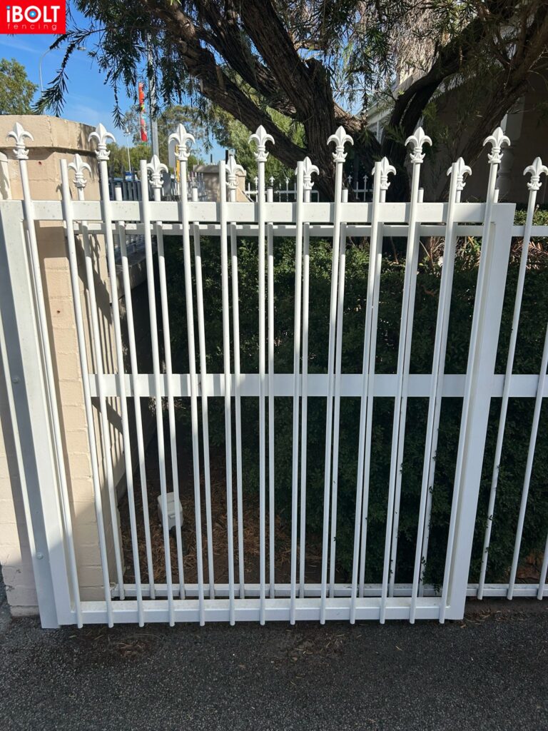 WhatsApp Image 2026 03 03 at 8.42.01 AM