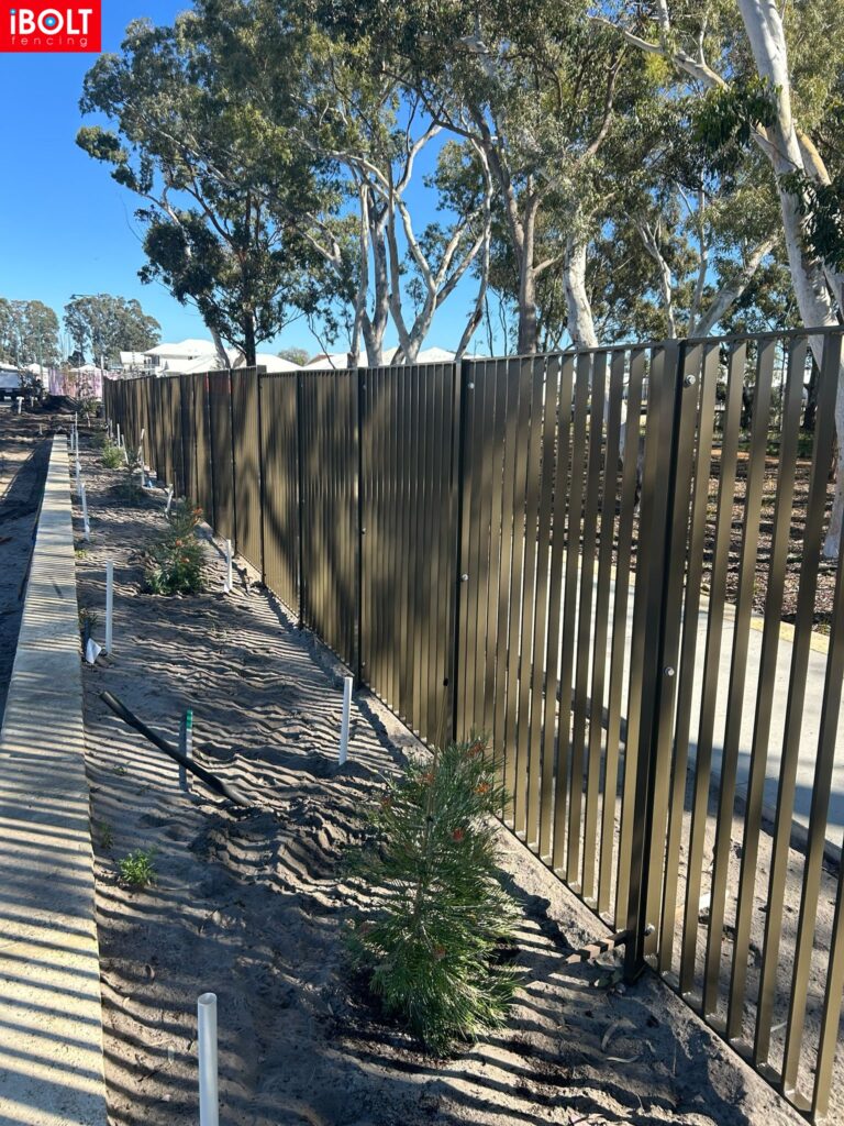 WhatsApp Image 2026 03 03 at 8.50.24 AM