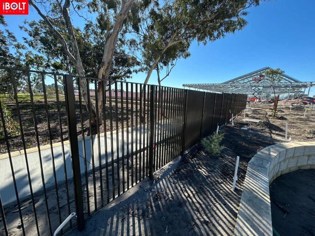 WhatsApp Image 2026 03 03 at 8.50.25 AM 1 1