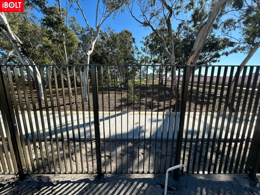 WhatsApp Image 2026 03 03 at 8.50.25 AM