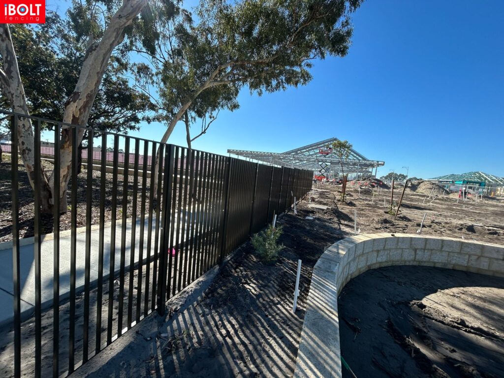 WhatsApp Image 2026 03 03 at 8.50.25 AM 2