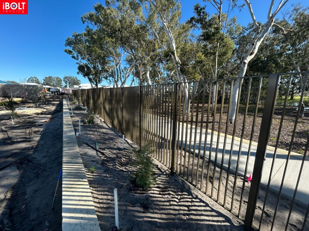 WhatsApp Image 2026 03 03 at 8.50.26 AM 1