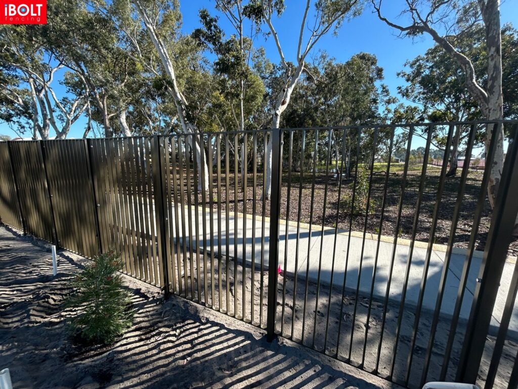 WhatsApp Image 2026 03 03 at 8.50.26 AM