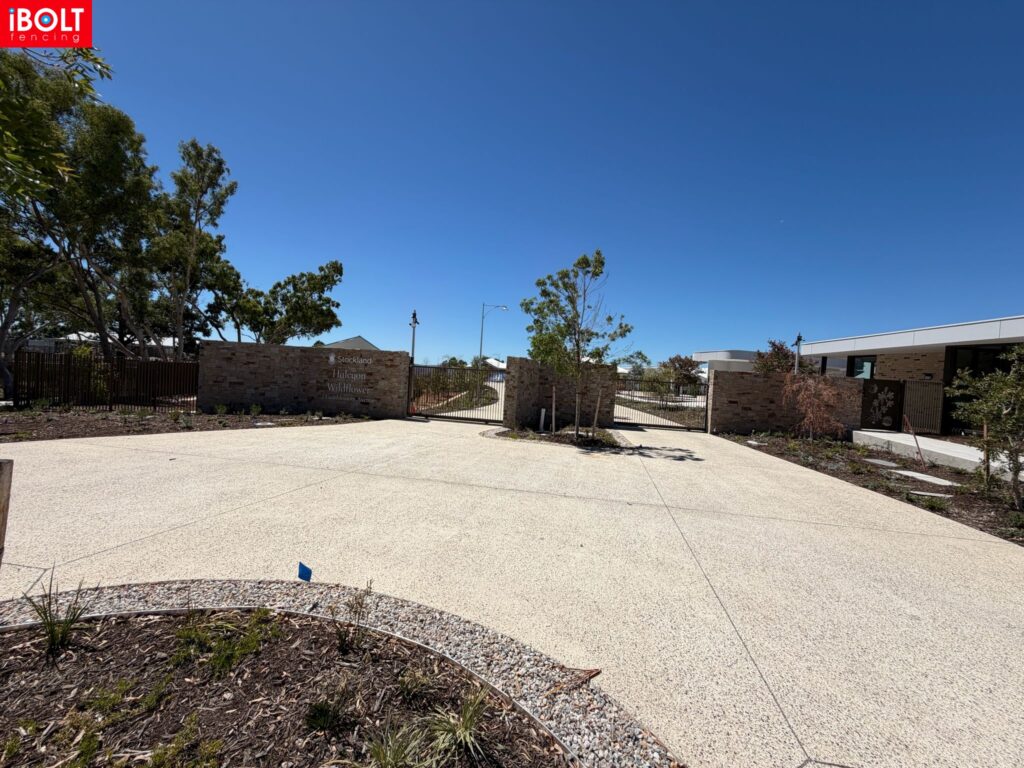 WhatsApp Image 2026 03 03 at 8.50.26 AM 2