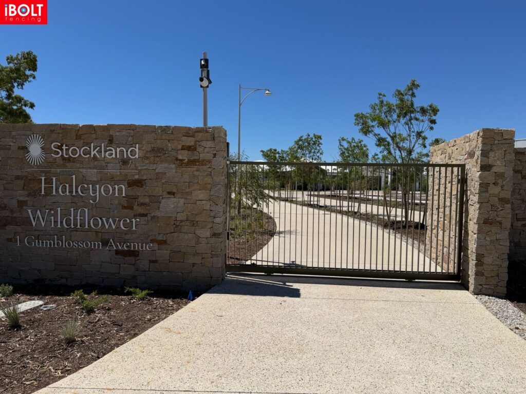 WhatsApp Image 2026 03 03 at 8.50.28 AM