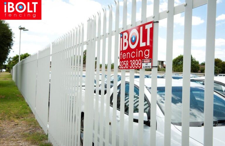 WhatsApp Image 2026-01-09 at 10.55.26 AM