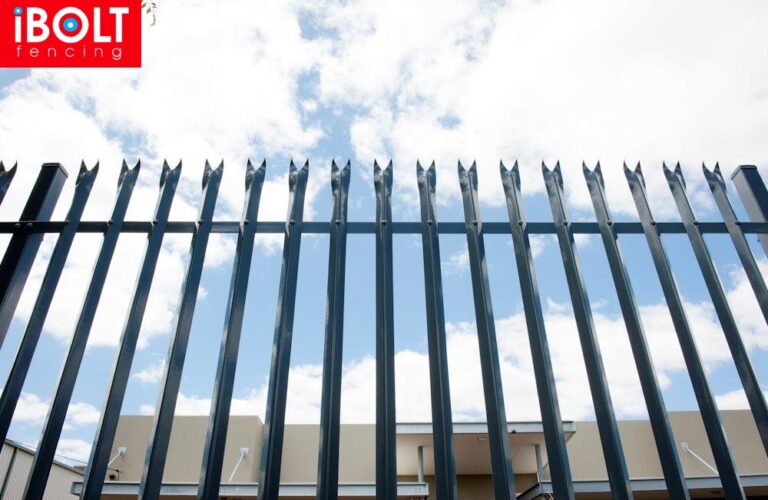 WhatsApp Image 2026-01-09 at 10.57.44 AM (1)