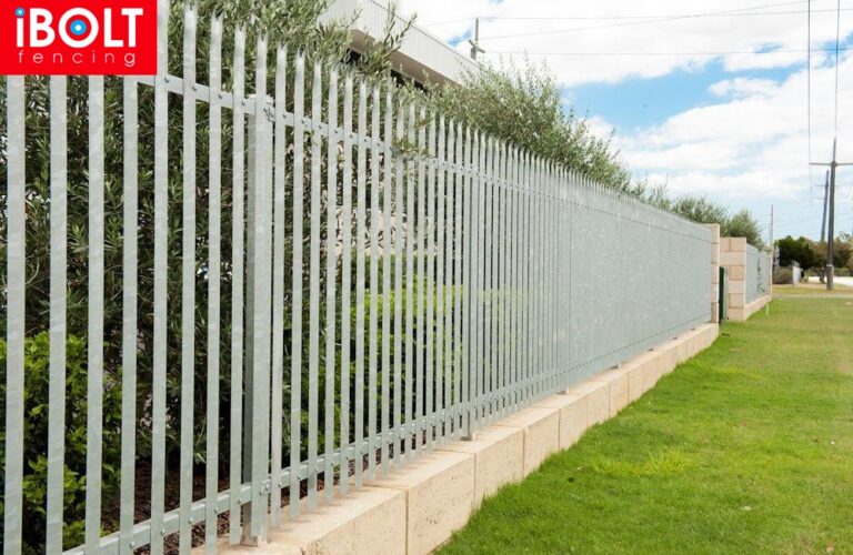 WhatsApp Image 2026-01-09 at 10.57.45 AM (1)