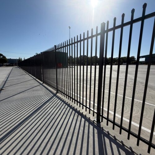 WhatsApp Image 2026-01-28 at 6.09.41 AM (10)