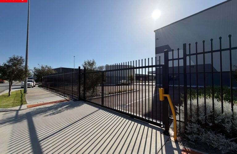 WhatsApp Image 2026 01 28 at 6.11.5 AM ribebugmuduic0a3lptz64k6wt6ch9eiu5nz5pi7ig