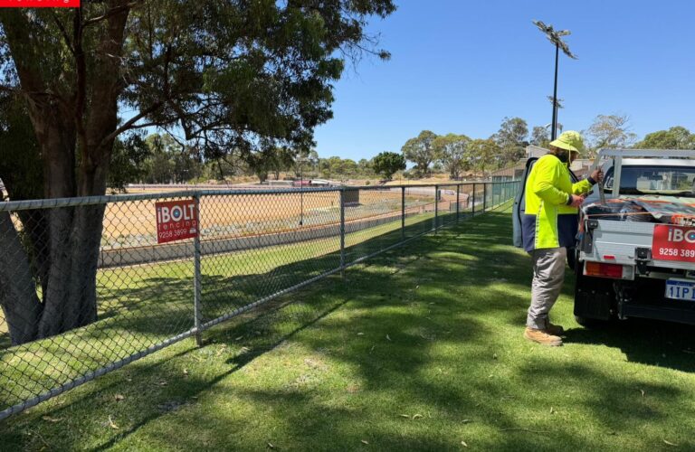 WhatsApp Image 2026 02 12 at 11.29.14 AM