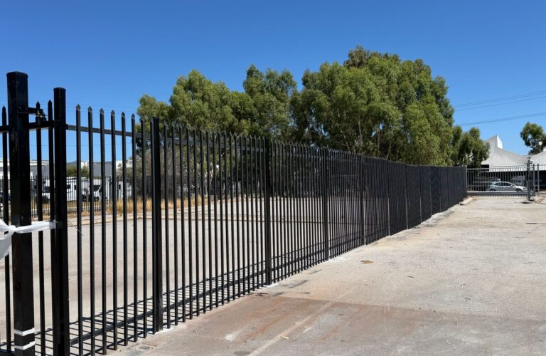 WhatsApp Image 2026-02-19 at 12.19.22 PM