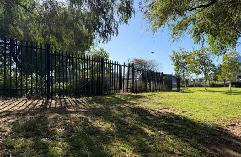 WhatsApp Image 2026-02-27 at 6.24.05 AM