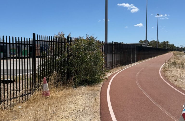 WhatsApp Image 2026-03-03 at 8.22.03 AM