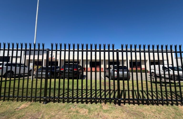 WhatsApp Image 2026-03-03 at 8.35.02 AM