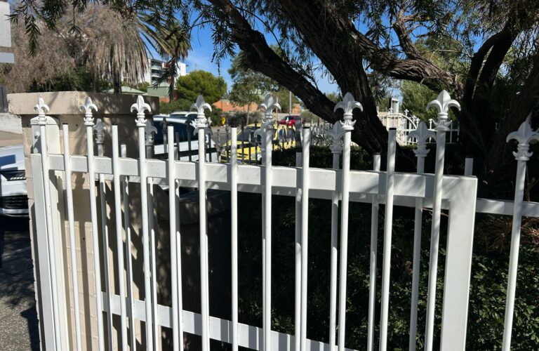 WhatsApp Image 2026-03-03 at 8.42.01 AM (1)